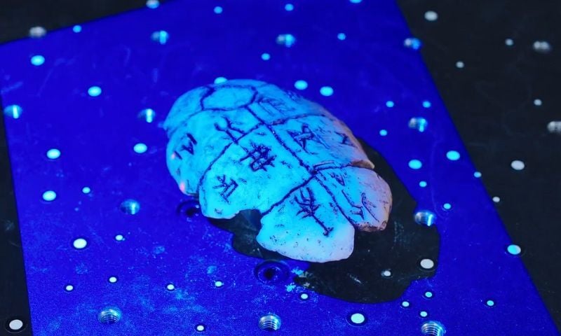 Oracle Bone Inscriptions